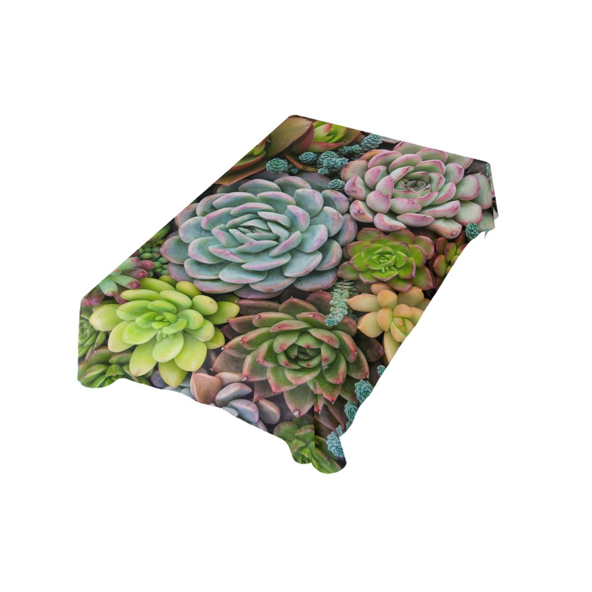 DOMIKING 60x90 Inch Succulent Cactus Tablecloth - Rectangle Table Cover for Kitchen, Dining Room, Party Decor - Perfect for Home, Dinner Parties, and Festive Events