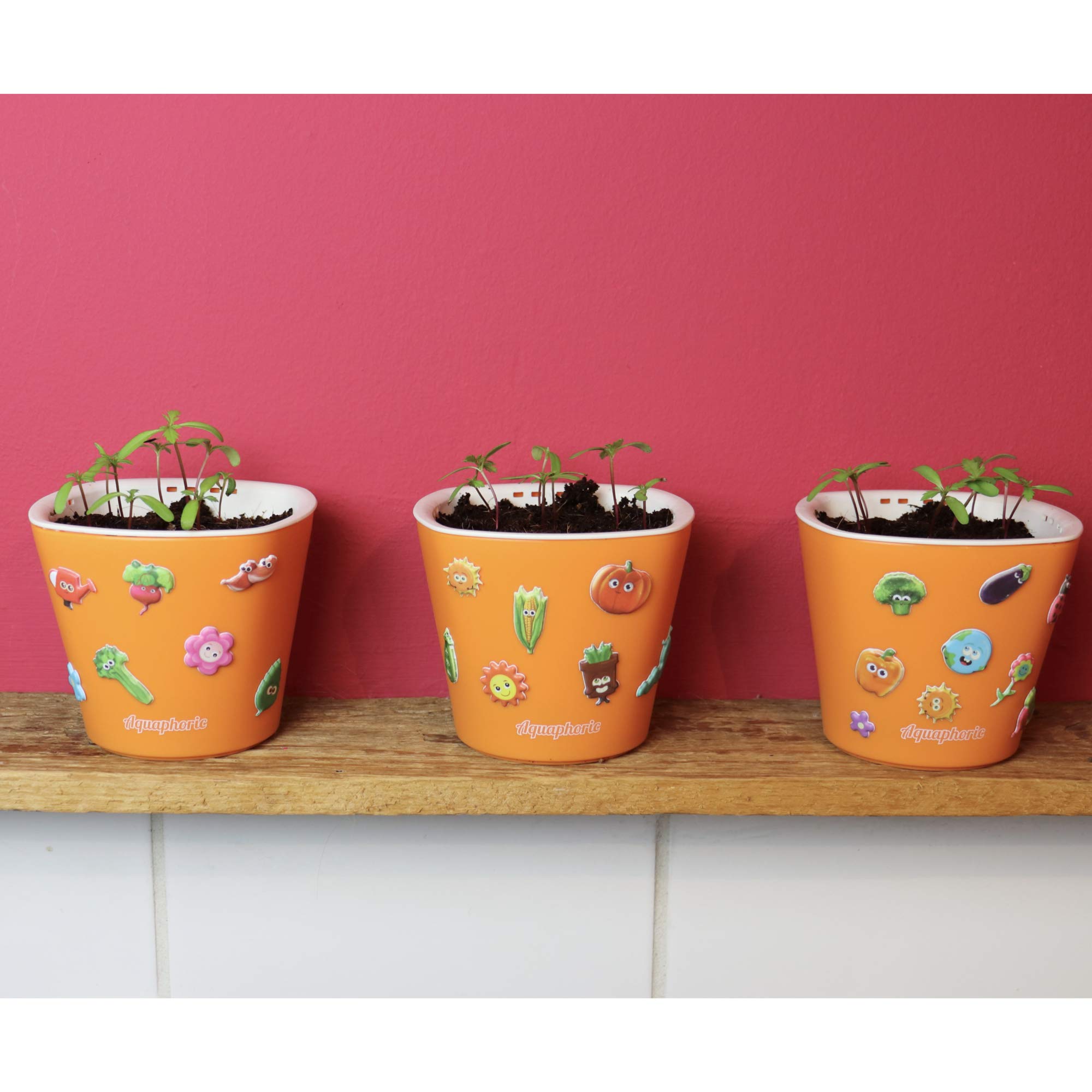 Window Garden Sow Much Fun Kids Seed Starting Kit - 3 Self-Watering Planters with Soil, Broccoli Seeds & Puffy Stickers | Easy No-Mess Vegetable Growing Kit for Children | Perfect for Indoor Gardening, STEM Learning & Family Bonding Activities