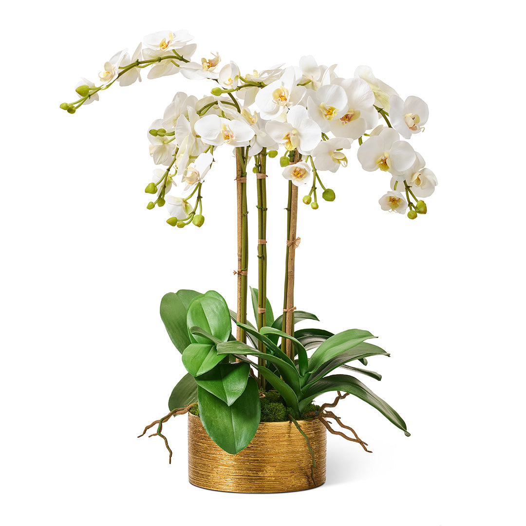 Gabriella White Orchid in Golden Pot - Elegant Home Decor for Living Room, Office & Wedding Centerpieces