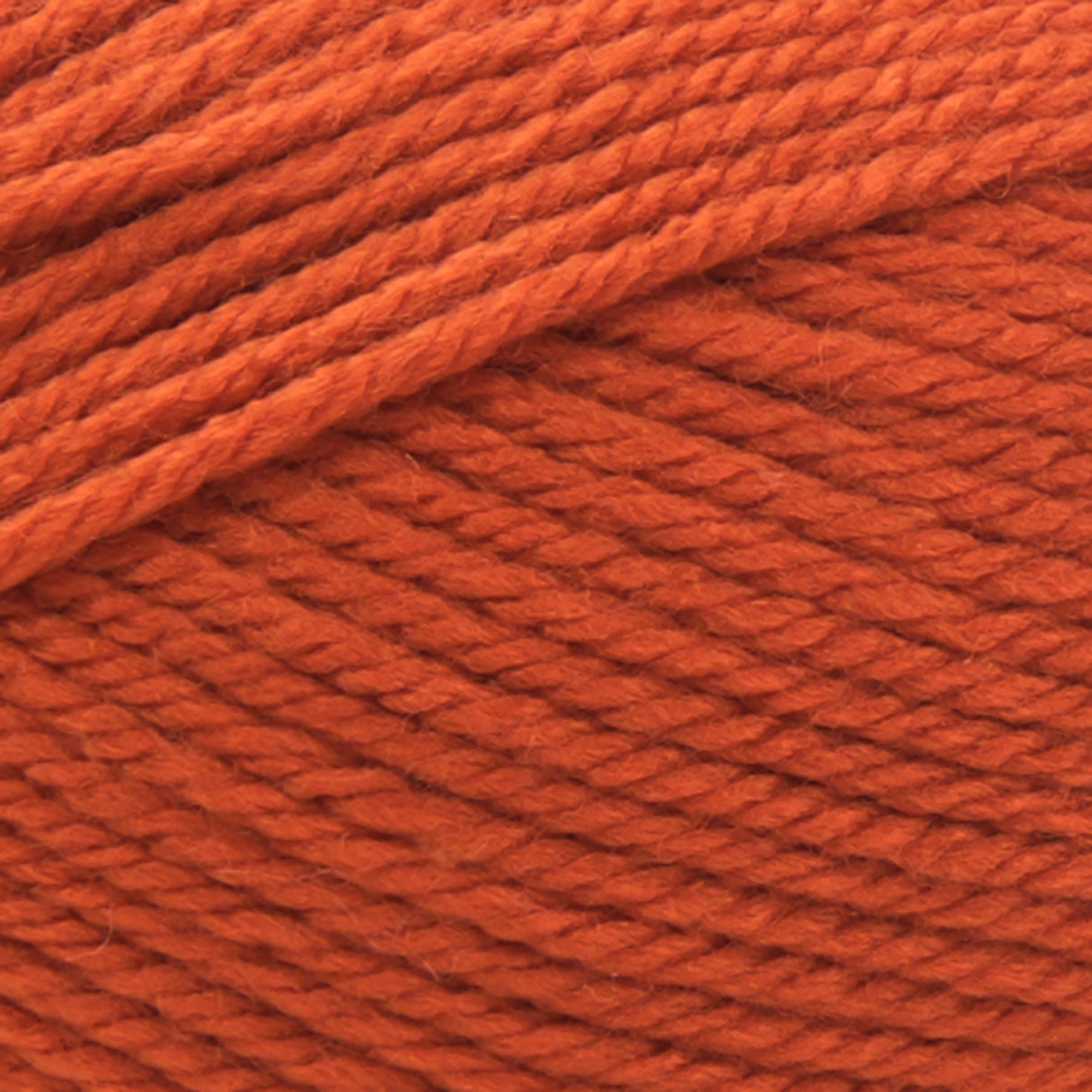 Lion Brand Yarn Basic Stitch Anti-Pilling Knitting & Crochet Yarn - 1 Pack Pumpkin Orange - Soft Worsted Weight Yarn for Scarves, Blankets & DIY Crafts