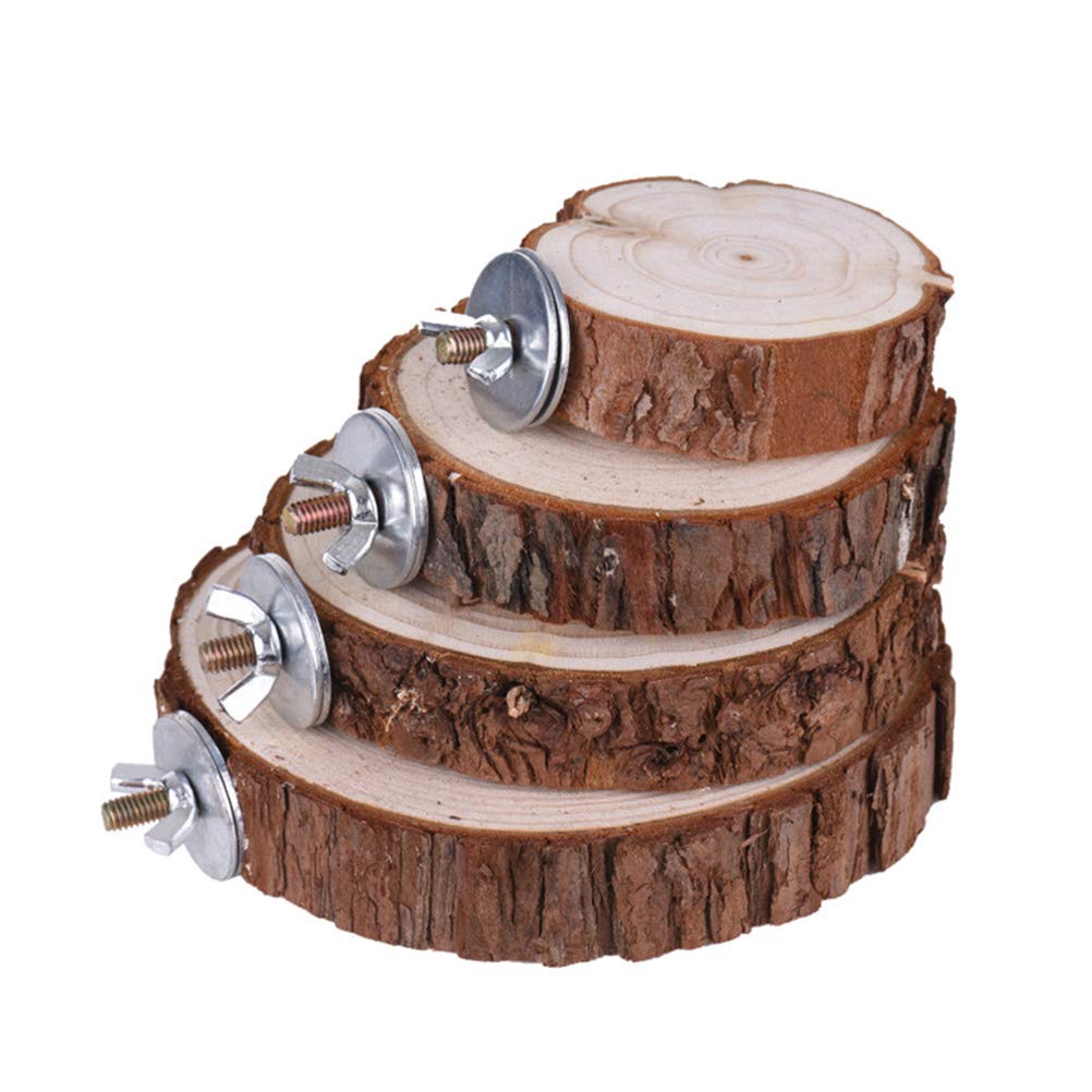 Totority Wooden Bird Play Stand for Cockatiels & Parrots - Natural Wood Perch, Springboard & Platform with Long Tail Design | Perfect for Bird Cages, Playtime & Training | Great for Small to Medium Birds Like Cockatiels, Lovebirds & Conures