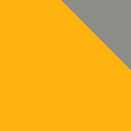 #01 Grey/Yellow