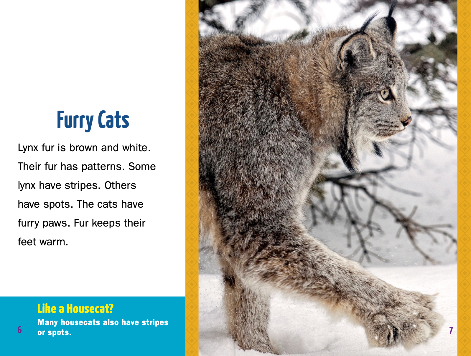 Lynx Wild Cats - Realistic Stuffed Animal Toy for Kids & Collectors - Perfect for Gifts, Room Decor, and Wildlife Enthusiasts