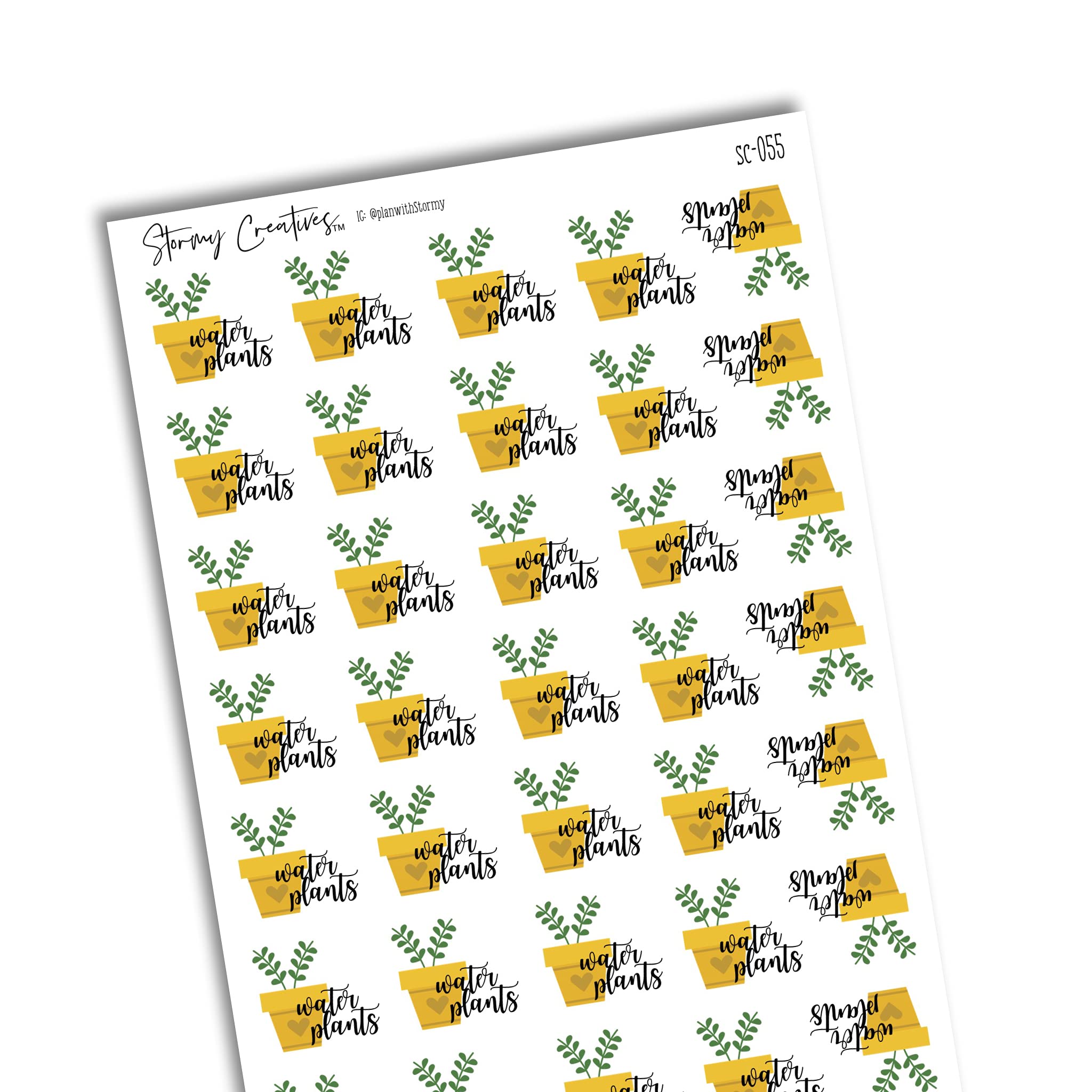 40 Pack 1