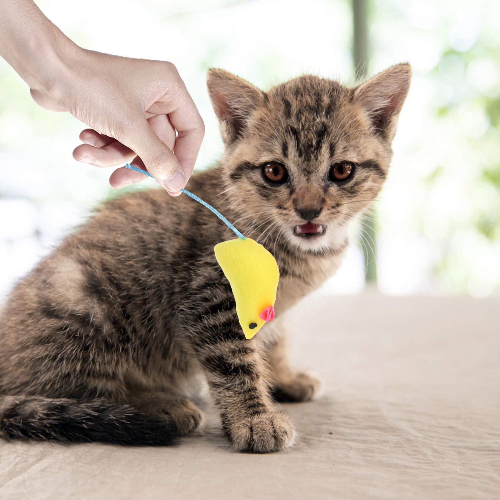 Balacoo 14pcs Kitten Toys Set - Interactive Cat Teaser, Chewing Catcher & Teething Toys for Kittens | Perfect for Playtime, Training & Dental Health
