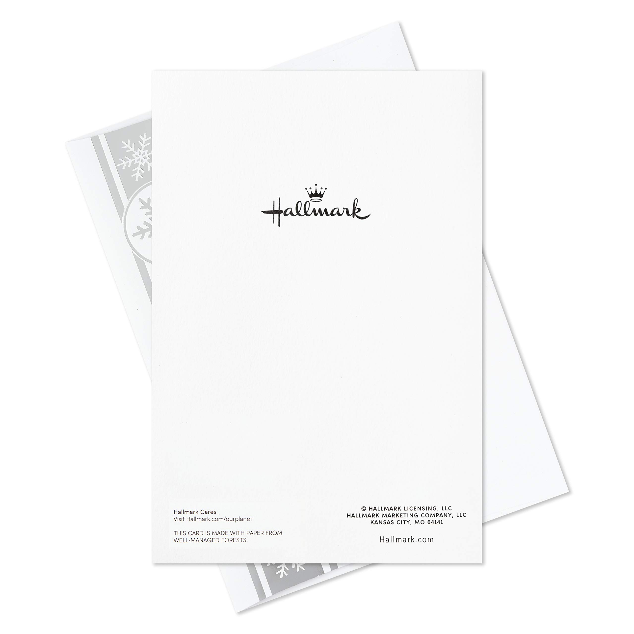 Hallmark Boxed Christmas Cards - Snowman and Cardinal Design (16 Cards & 17 Envelopes) for Holiday Greetings, Gift Giving & Festive Decorations (1XPX5437)