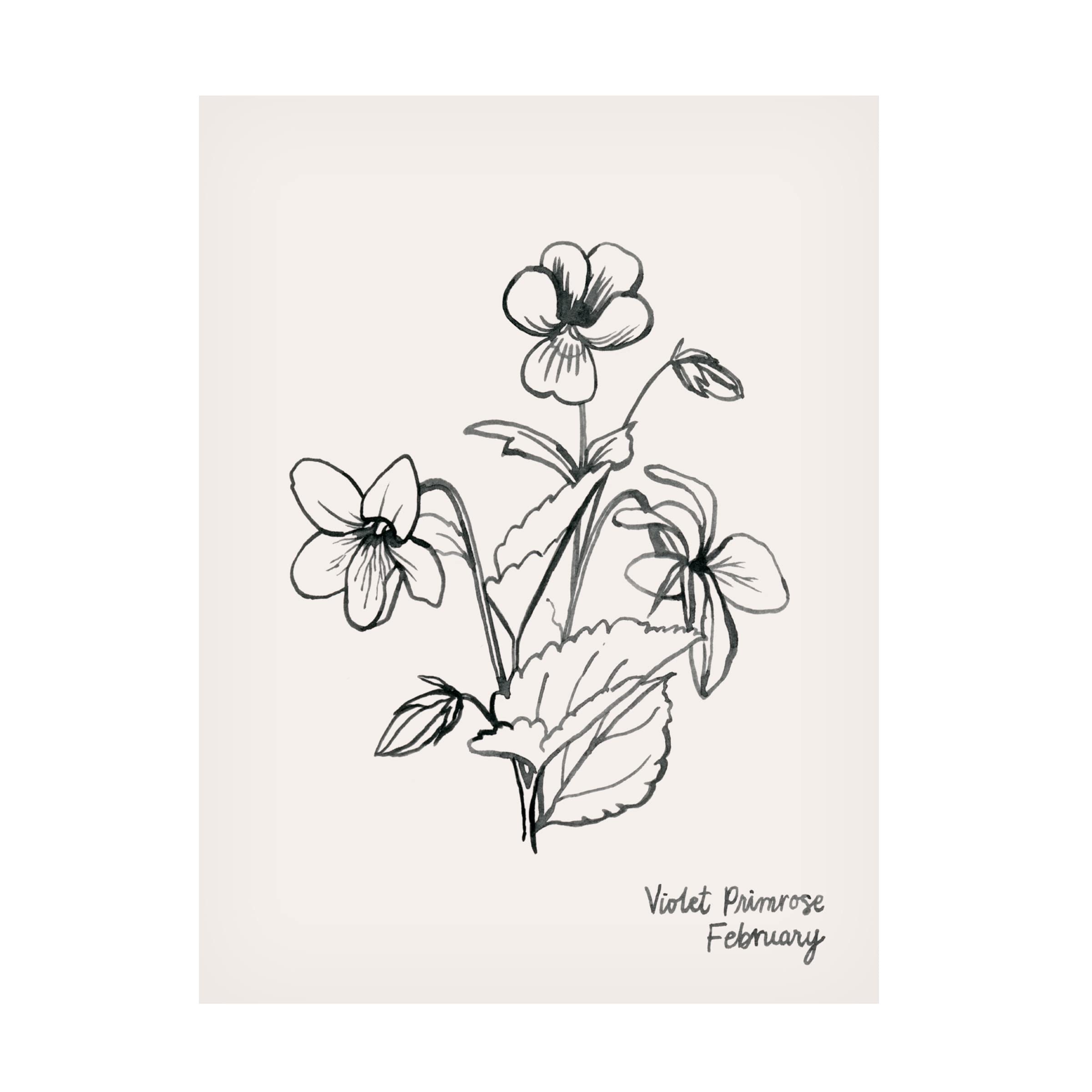 Grace Popp Annual Flowers II Canvas Wall Art Print - Vibrant Floral Home Decor for Living Room, Bedroom & Office - Trademark Fine Art Collection