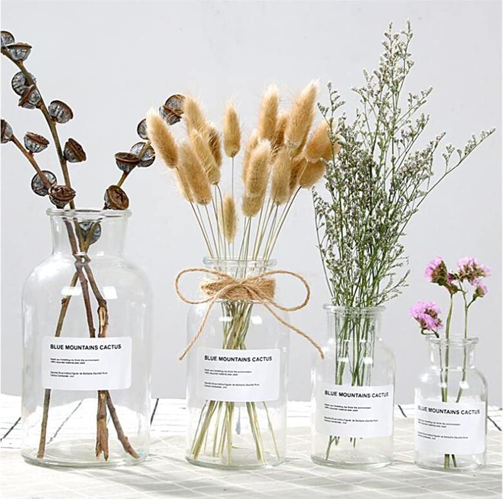 1PC Glass Bud Vase Set - Clear Apothecary Jars for Wedding Centerpiece & Home Decor