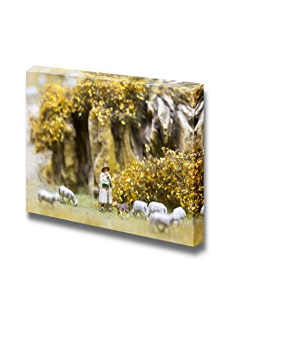 Sheeps