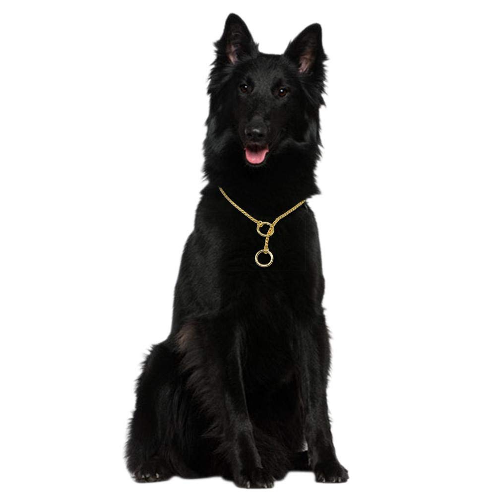 Premium GLOGLOW Snake Chain Choke Collar for Dogs - 5mm x 60cm Gold Metal Training Choker for Small, Medium & Large Breeds - Ideal for Dog Shows, Obedience Training & Behavior Correction