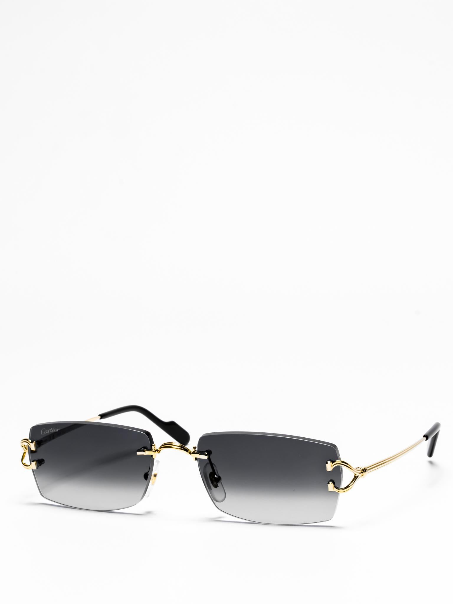 Cartier CT0550S 001 C Décor Sunglasses - Luxury Designer Shades for Women & Men - UV Protection for Beach, Driving & Outdoor Activities
