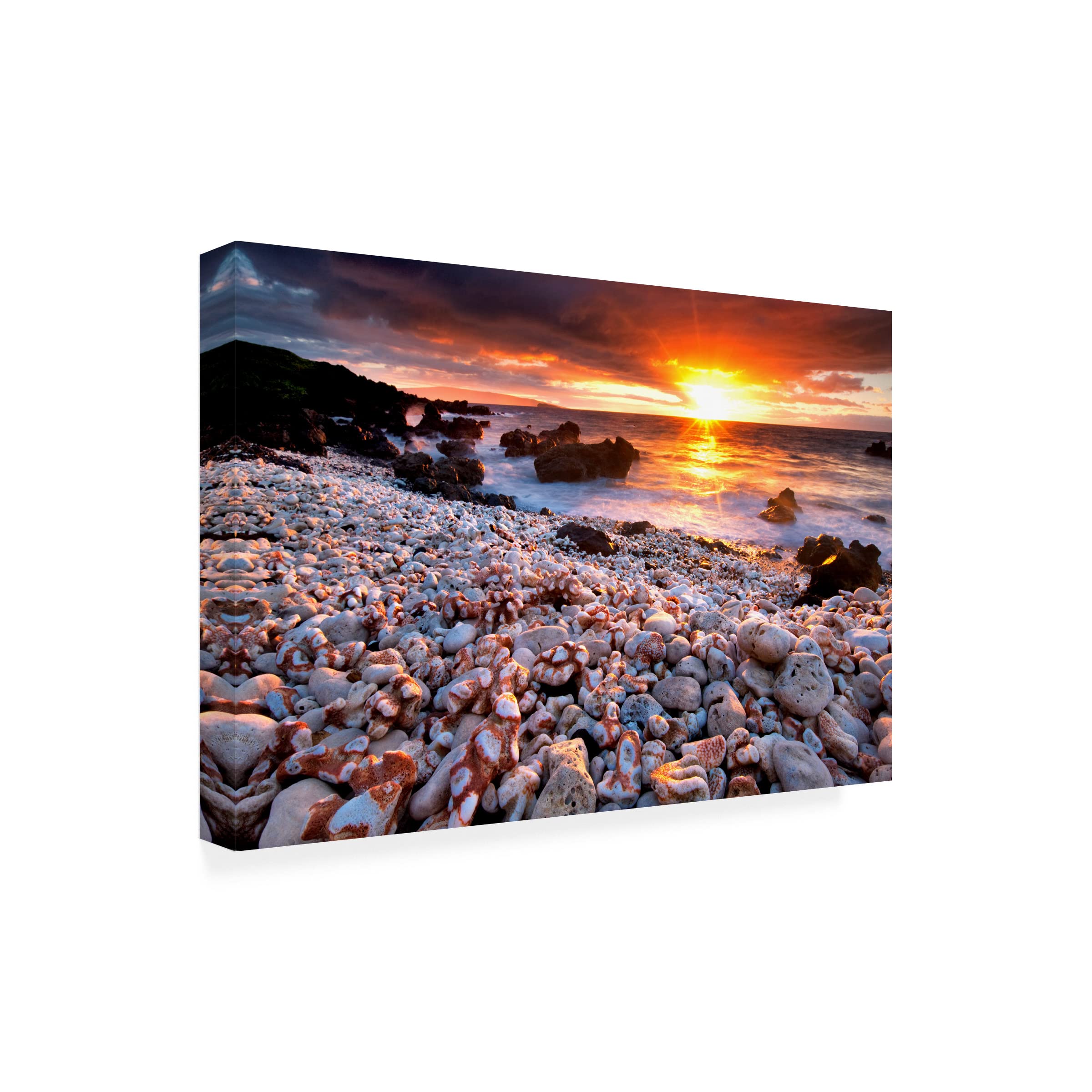 Dennis Frates 'Rocky Coast 8' Canvas Wall Art Print - Seascape Beach Decor for Living Room, Bedroom & Office - Premium Trademark Fine Art Collection