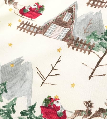 Santa's Sleigh