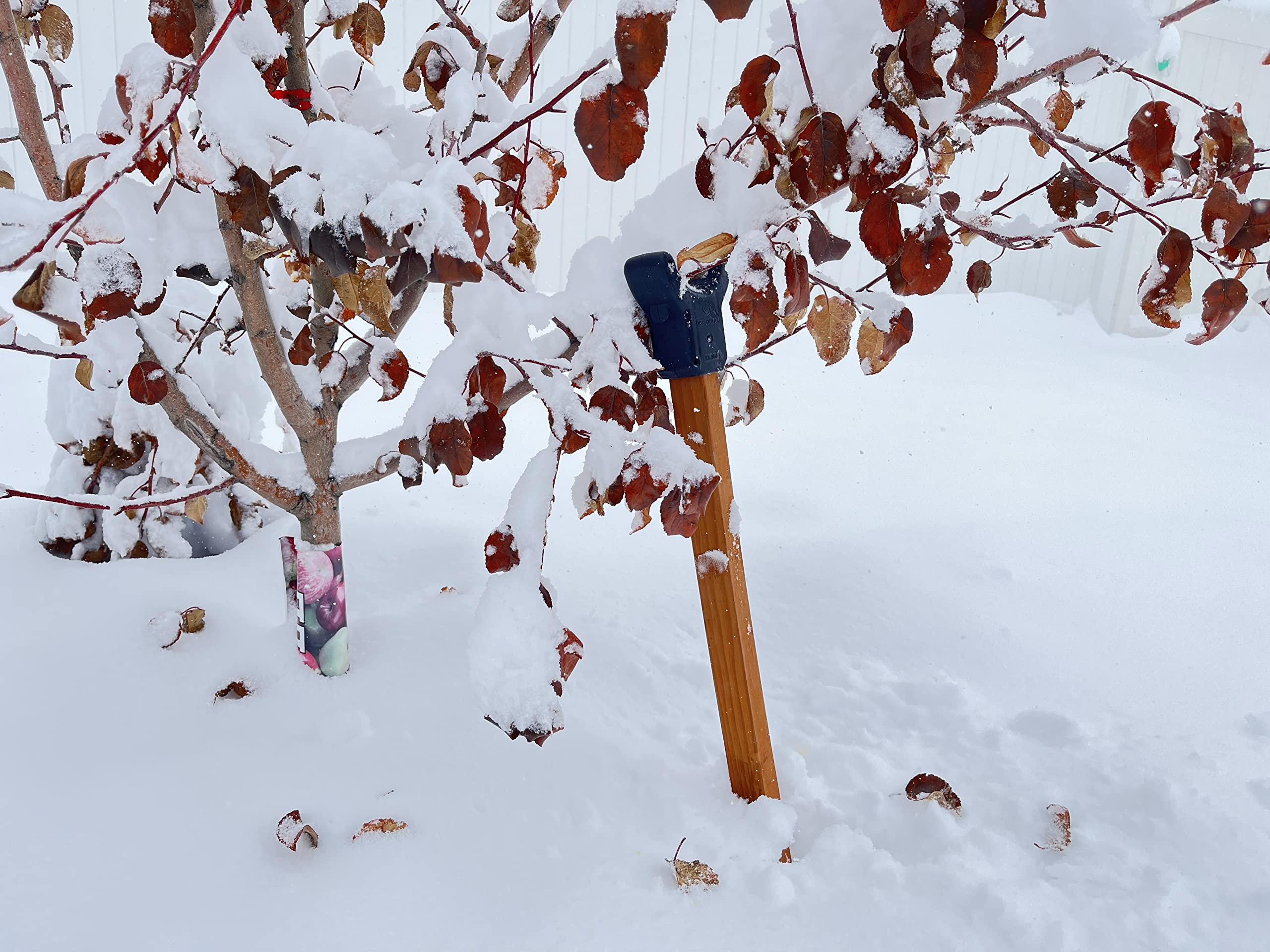 Heavy Duty Tree Crutch - 10-Pack Sturdy Fruit Tree Branch Support for Apples, Peaches & Citrus - Prevents Breakage from Heavy Fruit & Snow Load - Compatible with 2x2 Lumber, T-Bars & Garden Stakes - Perfect for Orchards, Backyard Fruit Trees & Winter Protection