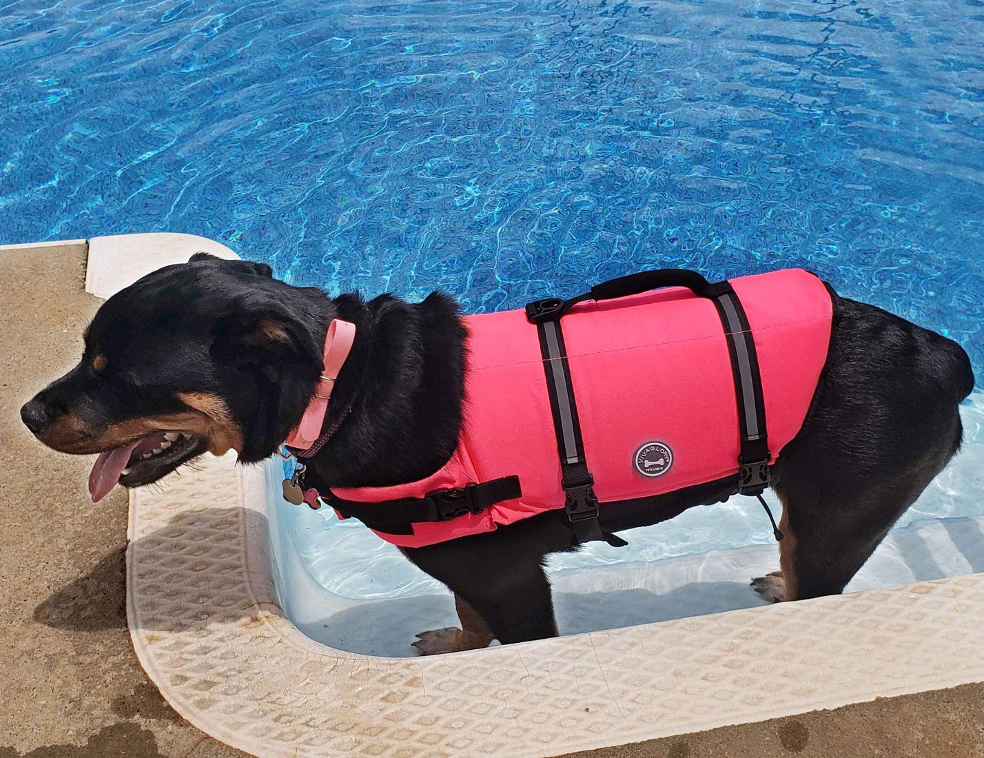 VIVAGLORY Ripstop Dog Life Jacket - Small/Medium/Large Sizes - High Visibility & Buoyancy Swimming Vest for Boating, Paddleboarding & Water Safety - Bright Pink Pet Safety Gear for Dogs