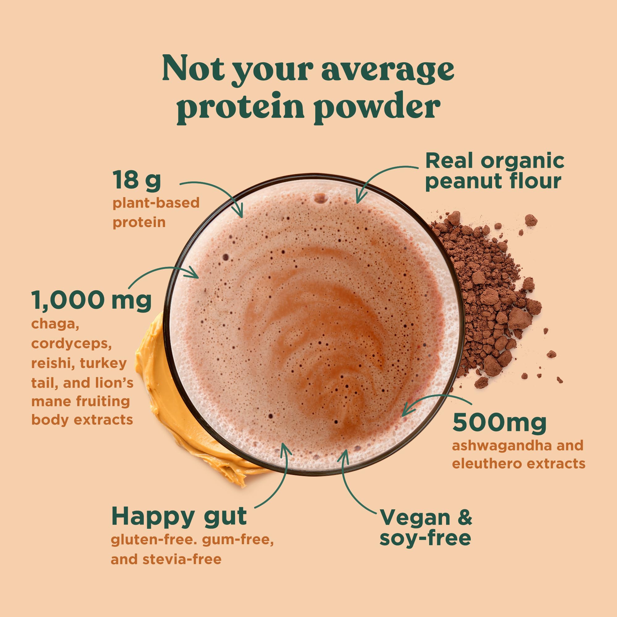 Four Sigmatic Organic Plant-Based Protein Powder - Peanut Butter Flavor with Lion’s Mane, Chaga & Cordyceps | Vegan Protein for Brain Function & Immune Support | 21.16 oz | Perfect for Post-Workout Recovery & Healthy Smoothies