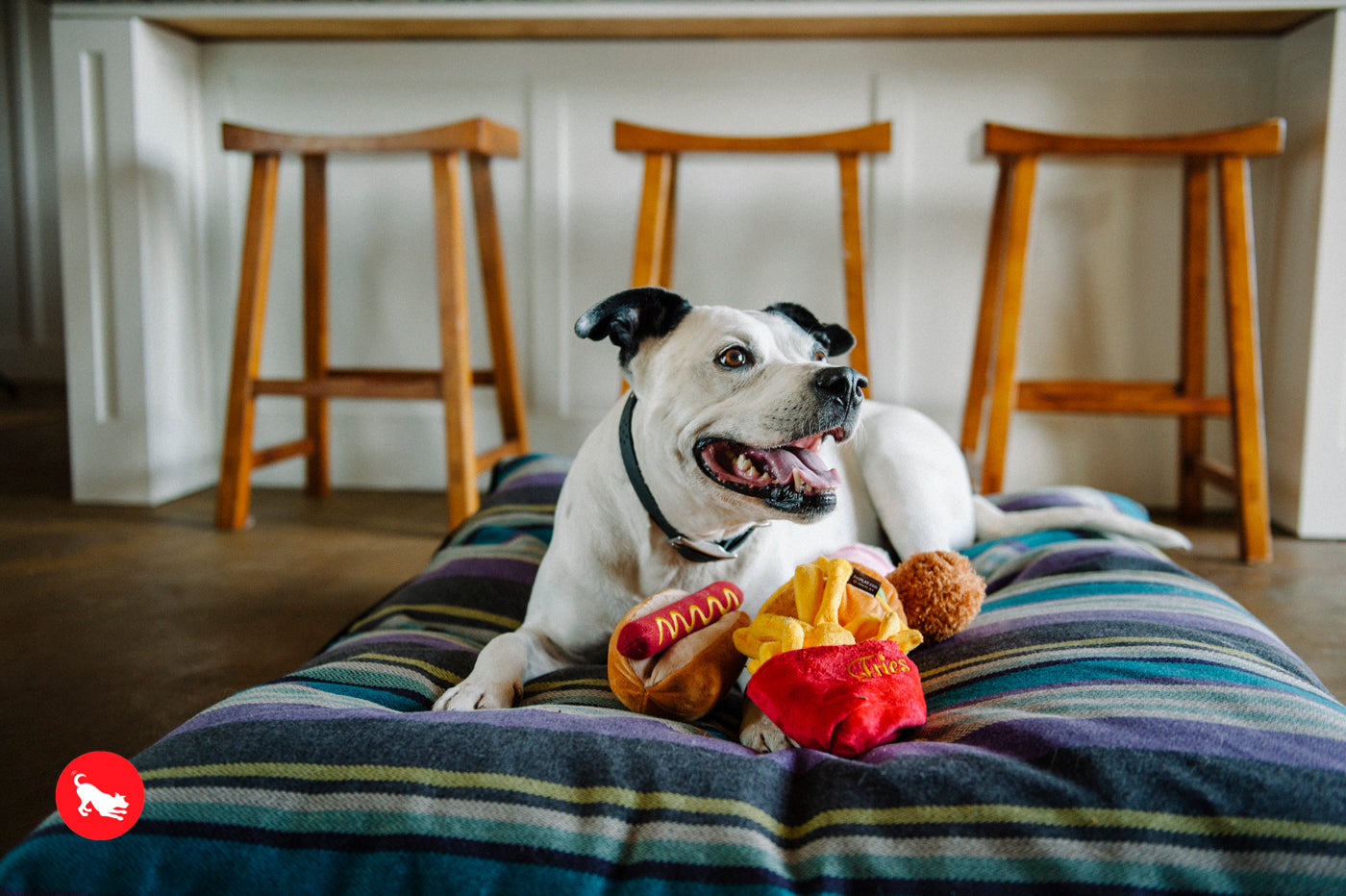 American Classic® Dog Chew Toy - Las Papas Fritas Plush French Fries for Dogs | Pet P.L.A.Y. | Perfect for Playtime, Training & Cuddling