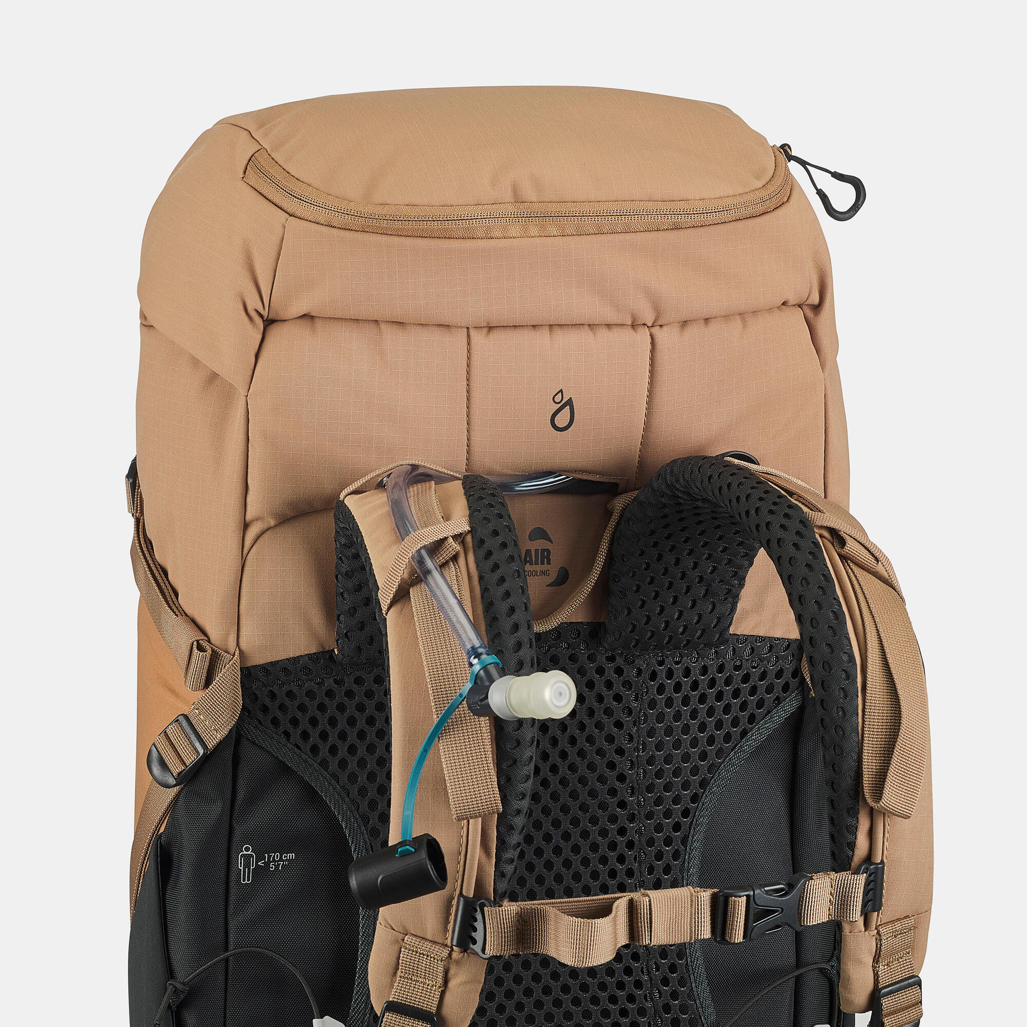Quechua MH500 40L Hiking Backpack - Lightweight Waterproof Outdoor Backpack for Men & Women - Perfect for Trekking, Camping & Travel Adventures