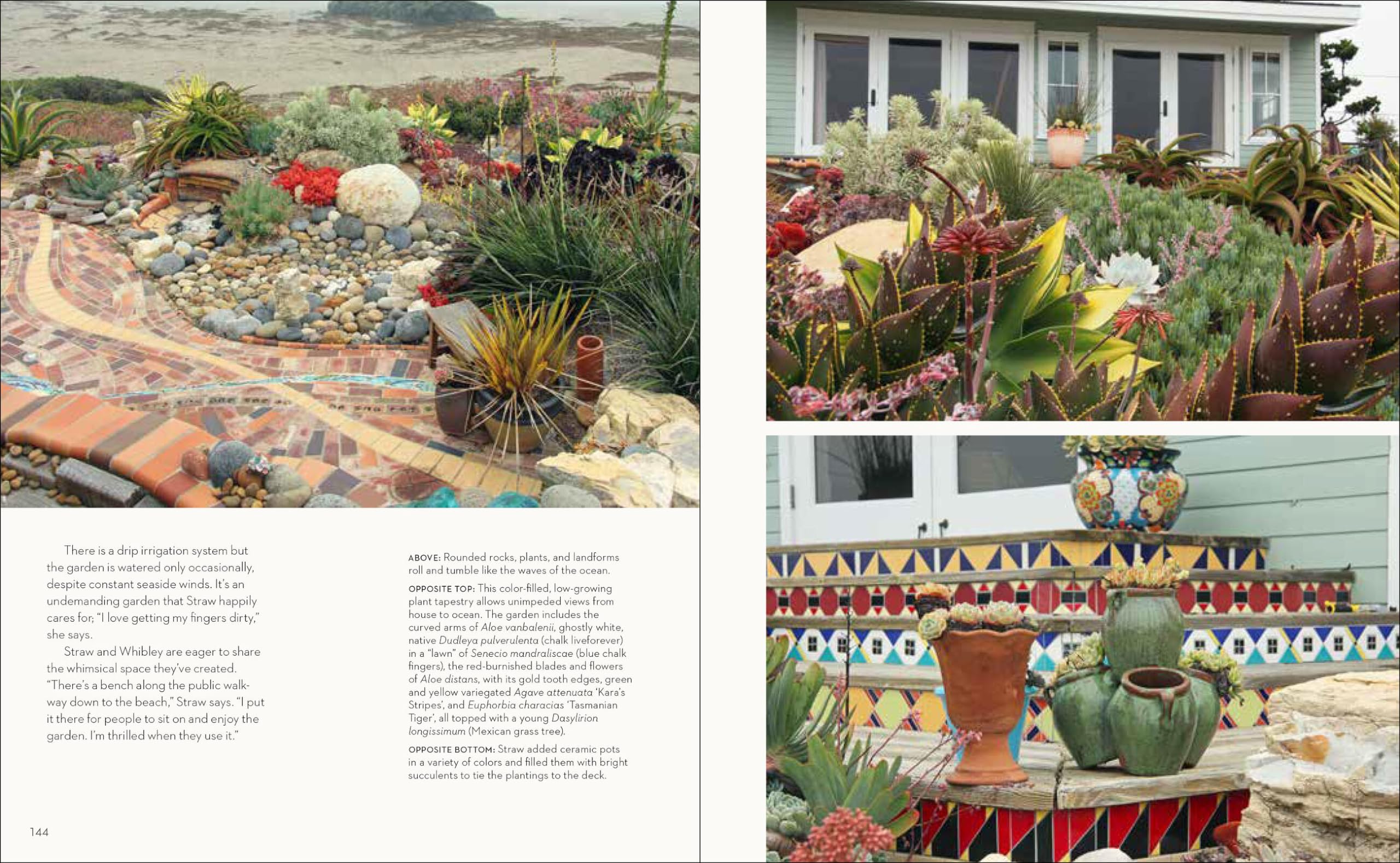 Vibrant Drought-Tolerant Plants & Stunning Dry Garden Designs - Waterwise Landscaping Ideas for Eco-Friendly Gardens | Perfect for Xeriscaping, Desert Gardens & Low-Maintenance Yards