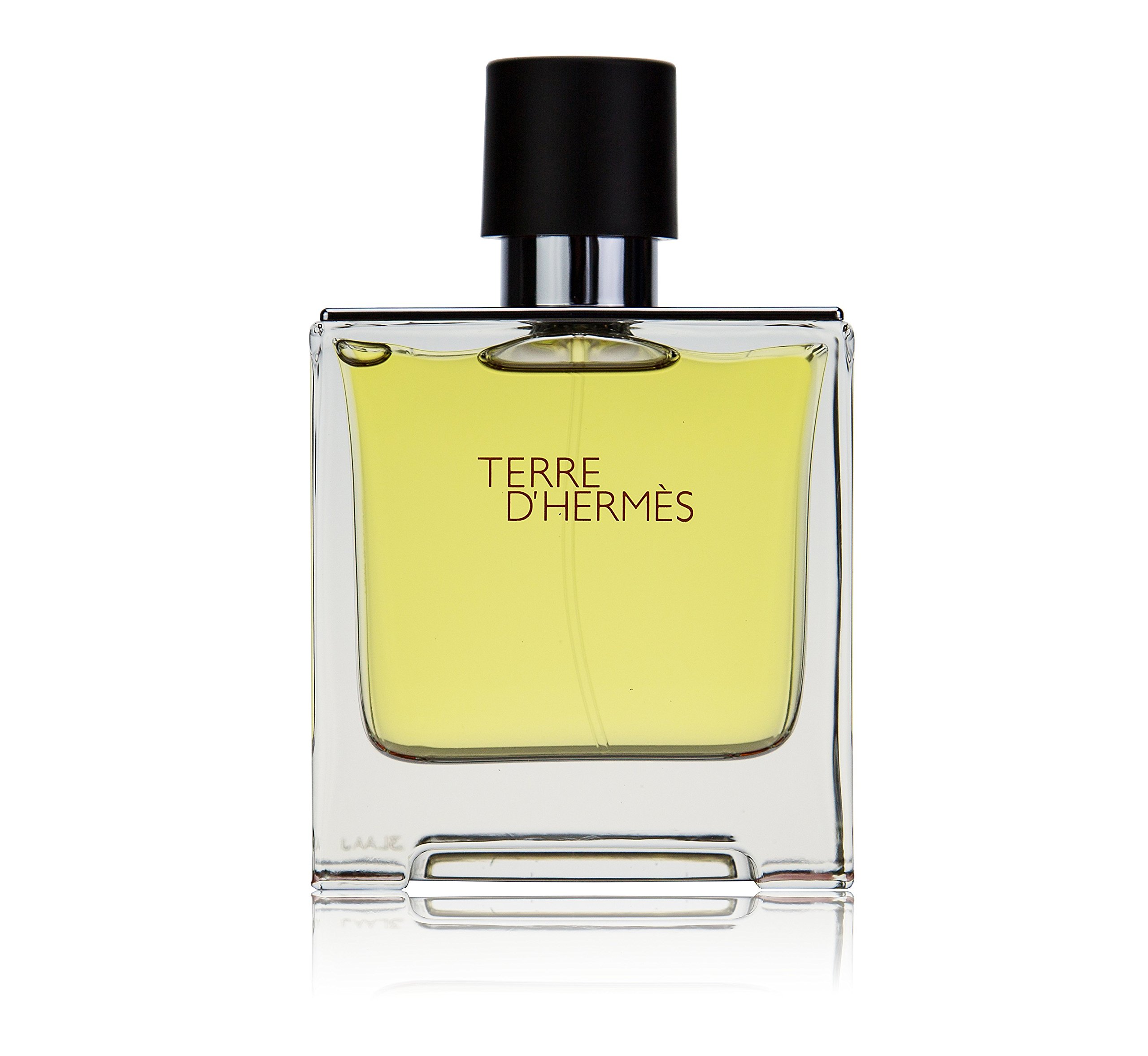 TERRE D'HERMES by Hermes Eau de Parfum Spray for Men - 2.5 oz / 75 ml - Woody Aromatic Fragrance | Perfect for Date Night, Office & Special Occasions
