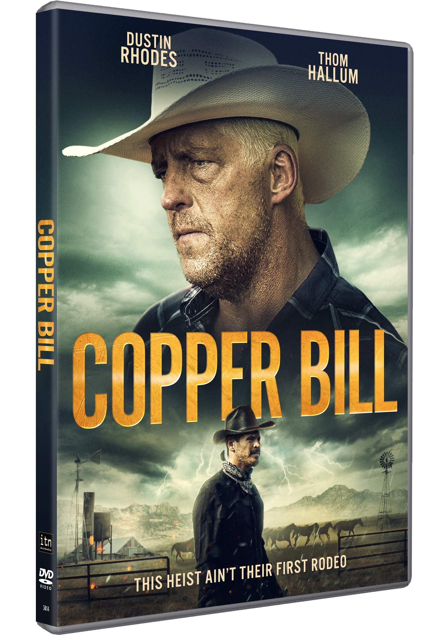 COPPER BILL DVD Player - Portable USB DVD Drive for Laptop & PC - Watch Movies Anywhere | Home Theater, Travel Entertainment, Car Rides