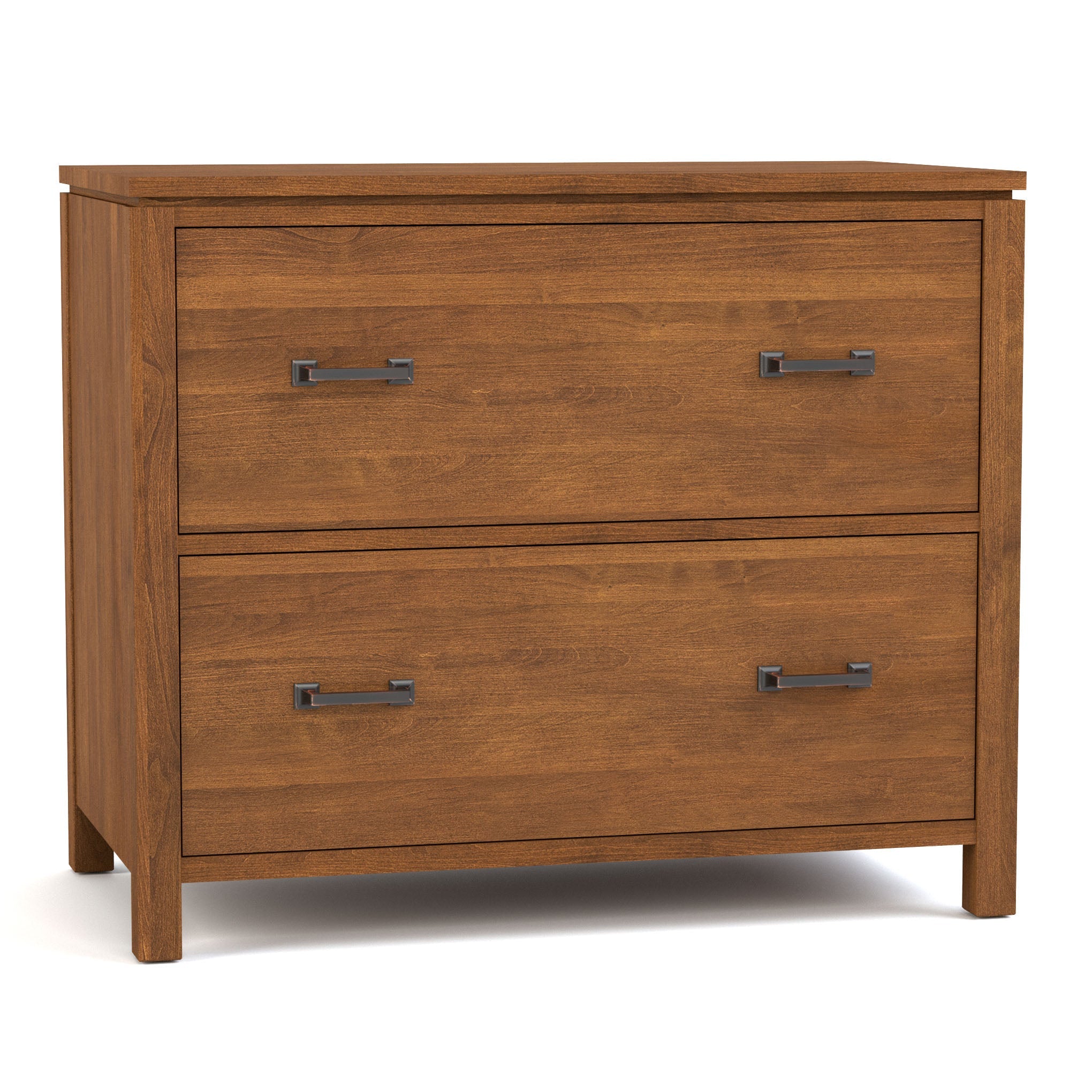 Dwyer Two Drawer File Cabinet - Metal Office Storage Solution for Documents & Folders - Perfect for Home Office, School, or Workplace Organization