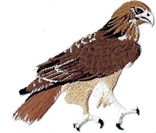 Red-Tailed Hawk Embroidered Iron-On Patch for Jackets, Hats & Backpacks - DIY Sew or Iron On Applique for Outdoor Enthusiasts & Wildlife Lovers