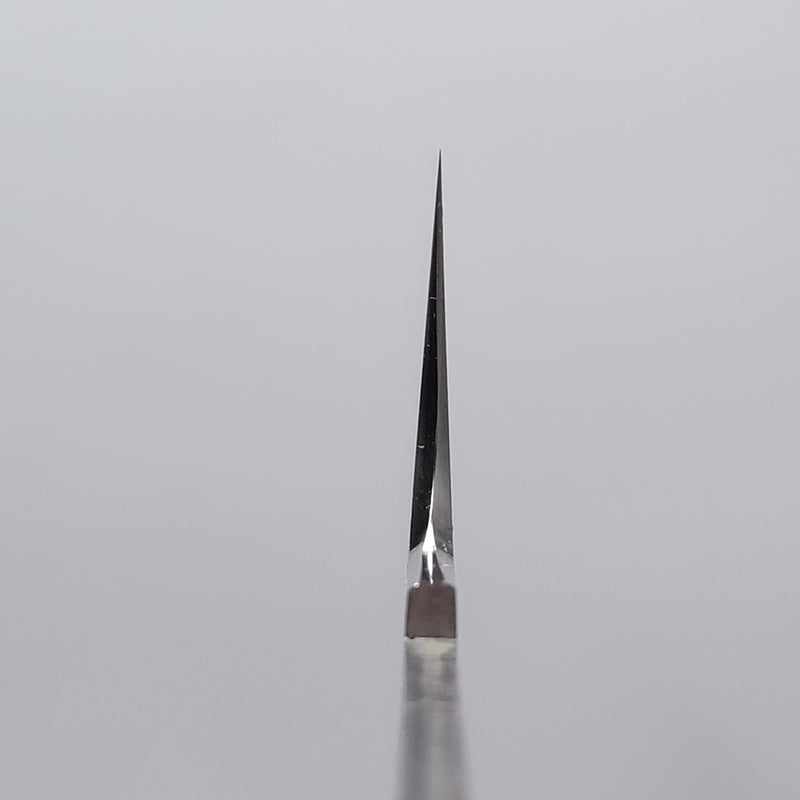 Premium Myojin Riki Seisakusho SG2 255mm Sujihiki Knife - High Carbon Stainless Steel Japanese Slicing Knife for Sushi, Meat & Delicate Cutting - Perfect for Chefs & Home Cooking