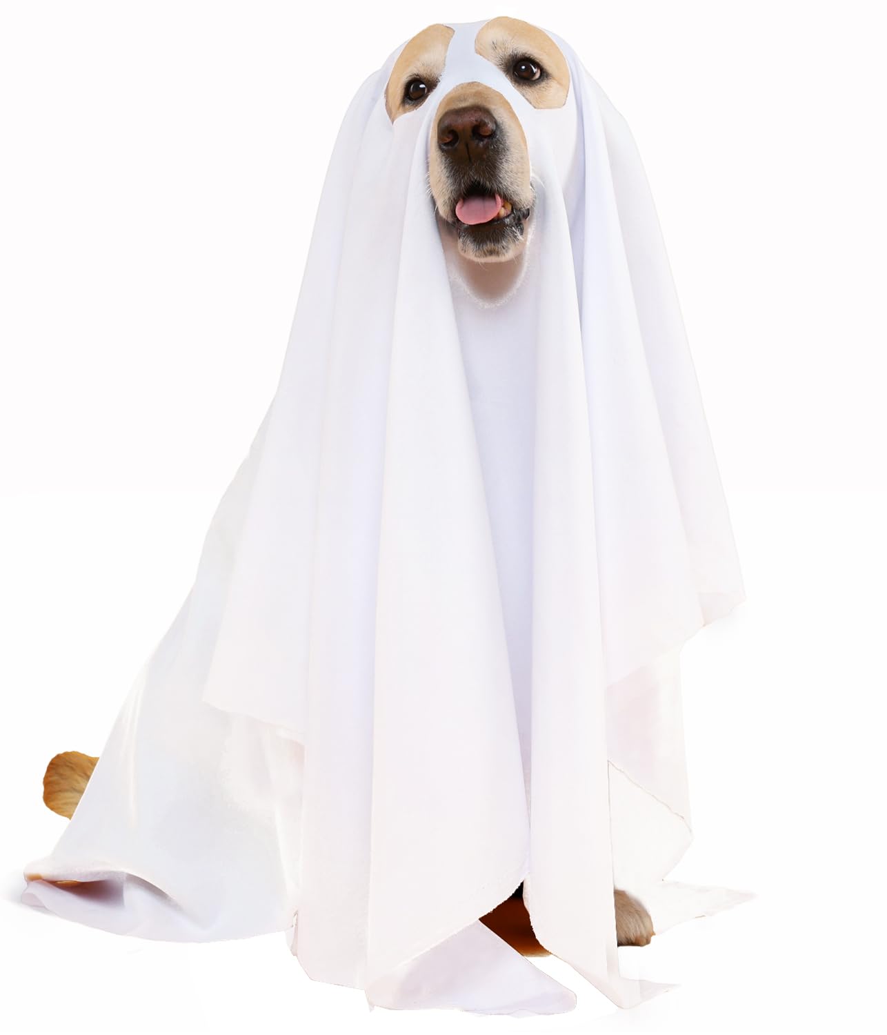 Halloween Ghost Dog Costume - White Pet Ghost Costume for Dogs & Cats - 27.5 x 39.3 inches (70x100cm) - Perfect for Trick or Treat, Halloween Parties & Pet Cosplay Fun