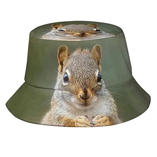Squirrel 06