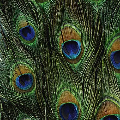 Green - SANIML20