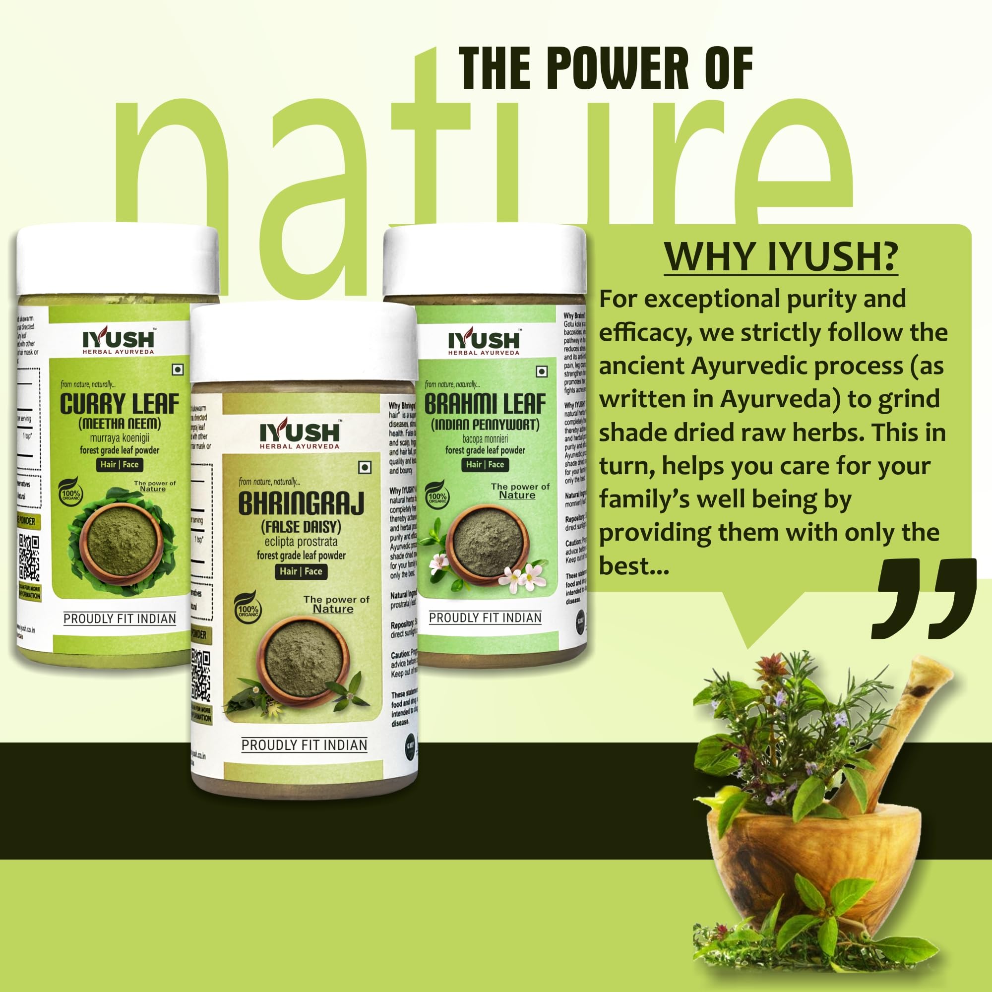 Organic Ayurvedic Curry Leaves Powder with Brahmi & Bhringraj for Hair Growth - 300g Herbal Hair Mask | Natural Treatment for Dry, Frizzy Hair & Volume Boost | Hair Care Powder for Stronger, Healthier Hair | Perfect for DIY Hair Masks & Scalp Treatments at Home