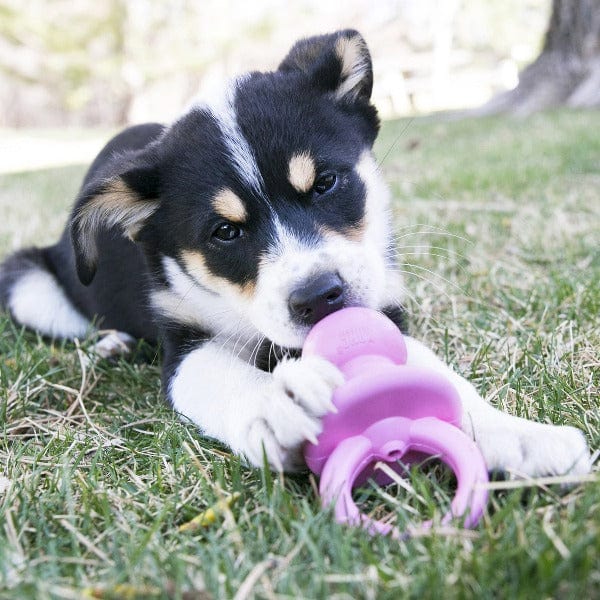 KONG Puppy Chew Toy for Teething Dogs - Durable Rubber Binkie for Small & Medium Breed Puppies - Perfect for Soothing Gums & Playtime Training