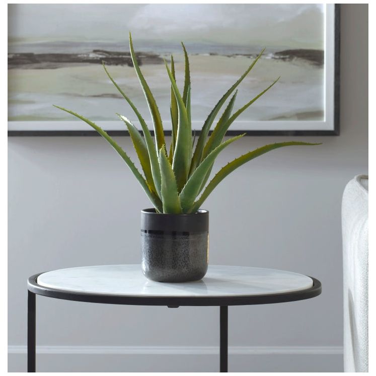 Tucson Aloe Planter - Self Watering Succulent Pot with Drainage Holes - Perfect for Indoor Plants, Home Decor, Office Desk & Gift Ideas