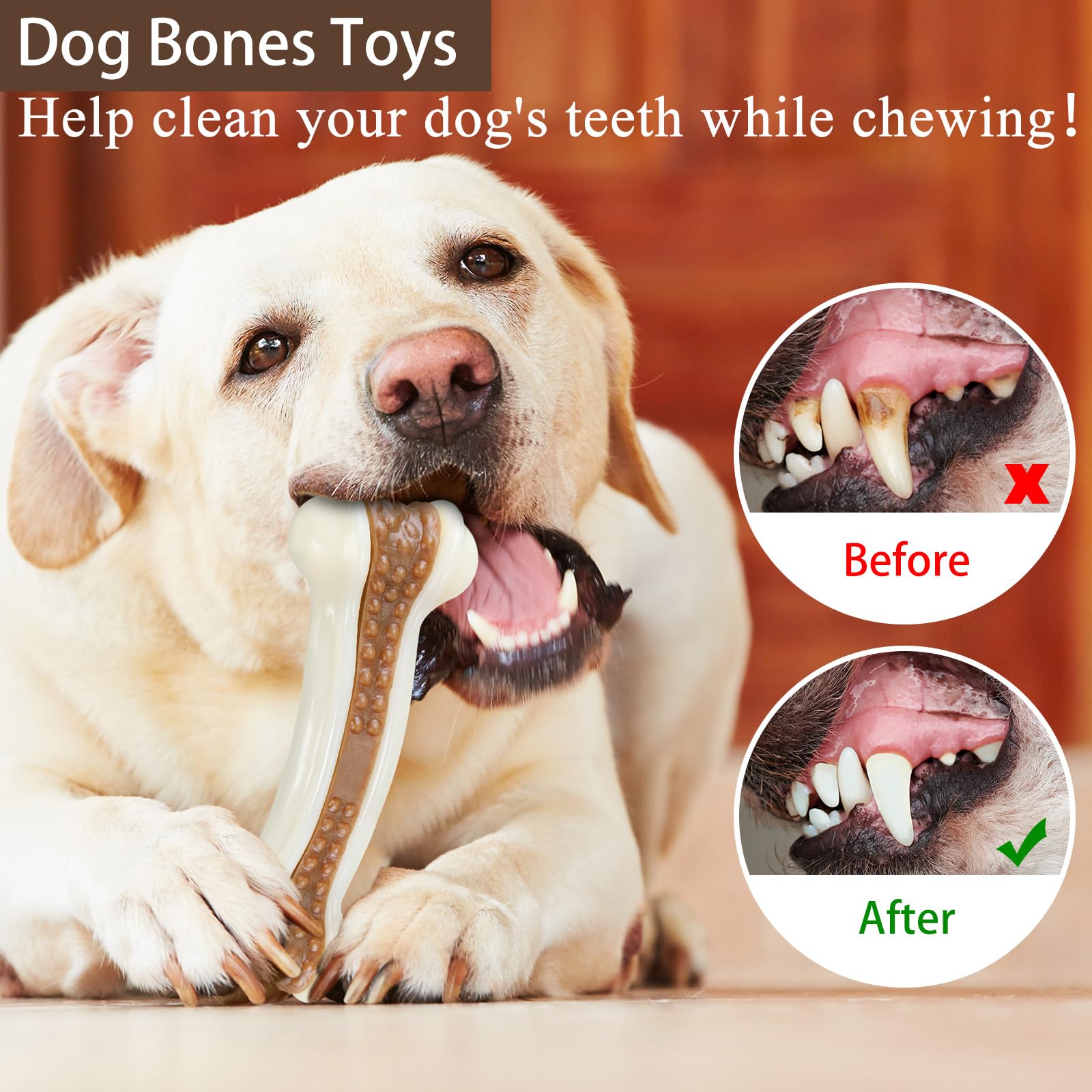 Leyndo 24-Pack Durable Nylon Dog Chew Toys for Aggressive Chewers - Tough Puppy Teething Bones for Medium & Large Breed Dogs - Teeth Cleaning & Training Treats - Perfect for Indoor Play, Outdoor Adventures, and Crate Training