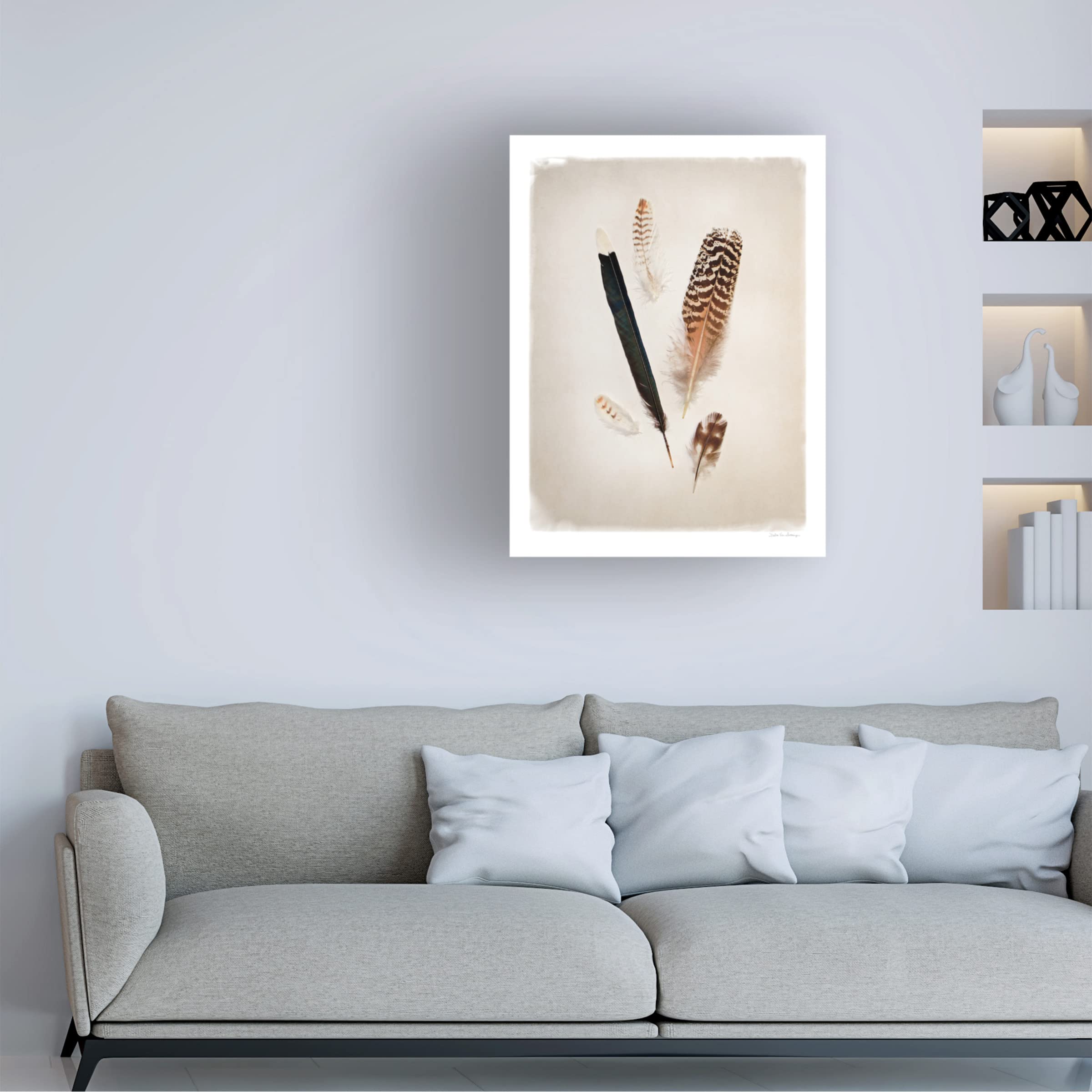 Debra Van Swearingen 'Feather Group II' Canvas Wall Art Print - Modern Home Decor for Living Room, Bedroom & Office - Trademark Fine Art Collection