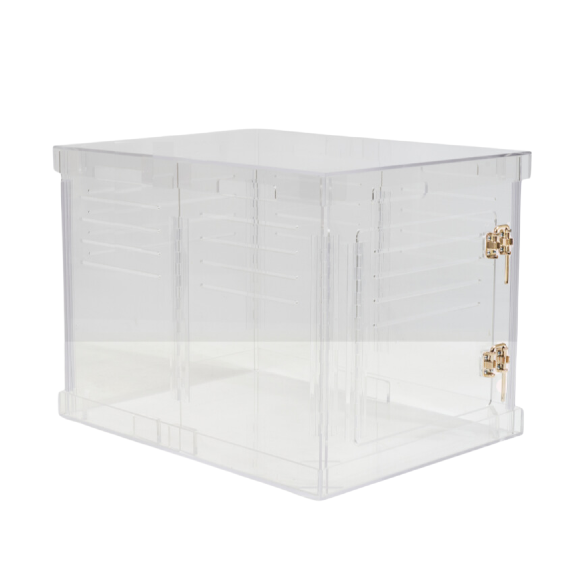 Clear Plastic Dog Crate with Removable Gate - Portable Pet Carrier for Small to Medium Dogs - Perfect for Travel, Training & Home Use