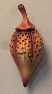 Andy Rogers Ceramics Medium Wall Seed Planter #AR44 - Perfect for Indoor Herb Gardens, Kitchen Decor & Home Plant Display