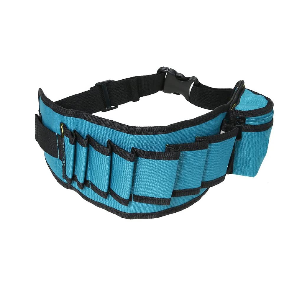 Multi-Pocket Electrician Tool Belt - Adjustable Waist Storage Bag for Hardware & Tools | Perfect for Construction, DIY Projects & Home Repairs