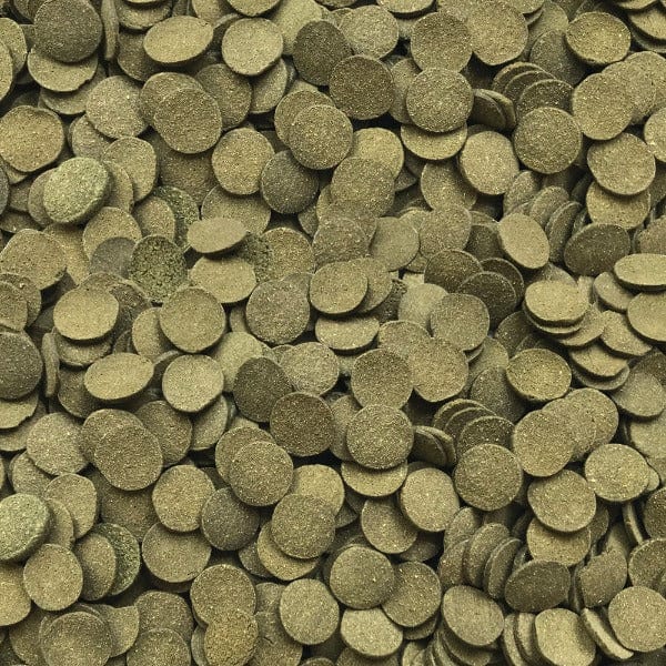 Fluval Bug Bites Algae Crisps - High Protein Fish Food for Tropical & Marine Fish | Perfect for Aquariums & Fish Tanks