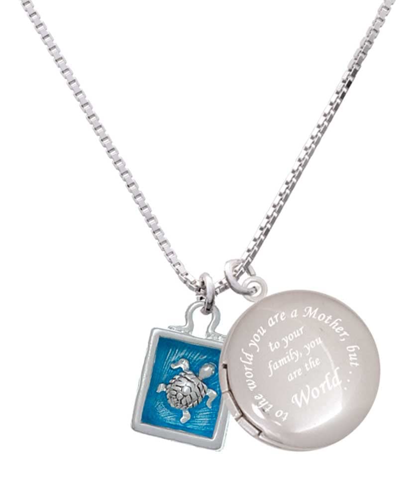 Delight Jewelry Silver-Tone Sea Turtle Shadow Box Locket Necklace - Mother's Day Gift for Her, 18
