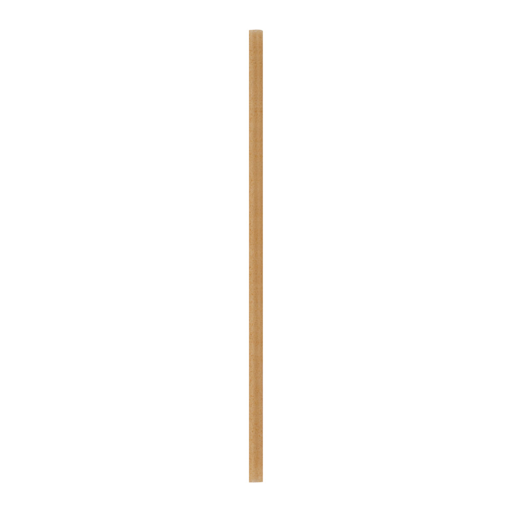 Eco-Friendly Compostable PLA & Sugarcane Straws - 8 1/4