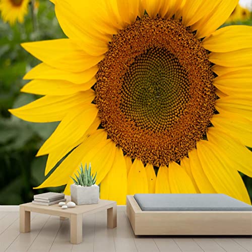 3D Sunflower Wall Mural - Self-Adhesive PVC Wallpaper | Peel & Stick Poster for Bedroom & Living Room Decor | 110x78 inches (280x200cm) | Easy Home & Office Wall Decoration
