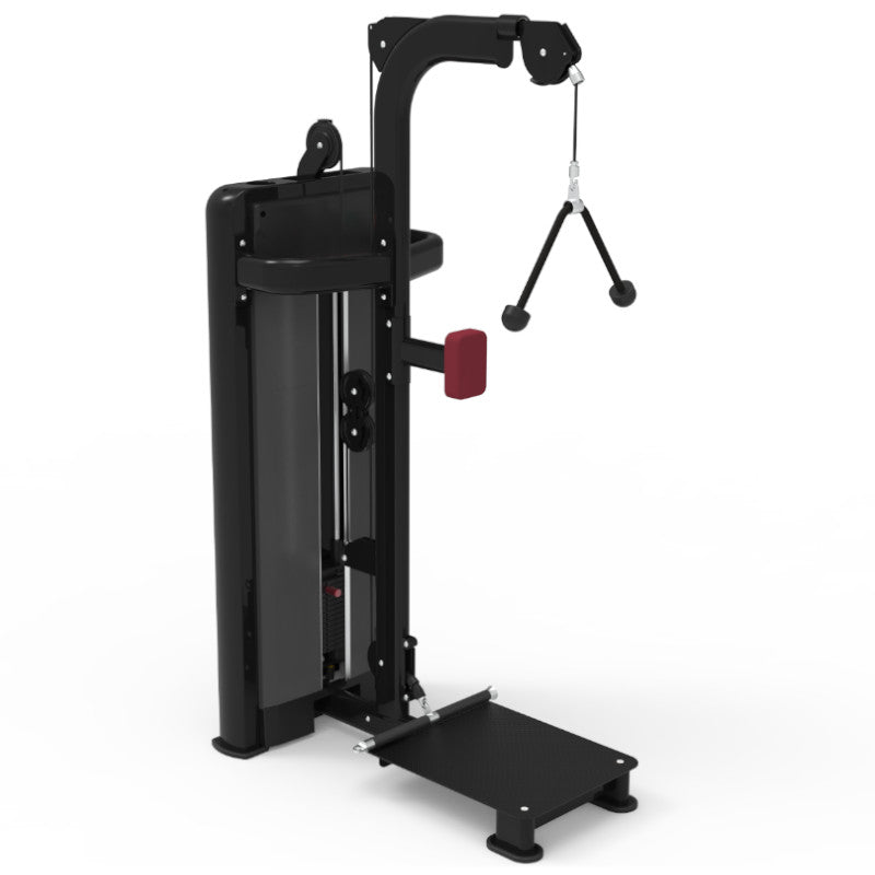 Pegasus 1S 2-in-1 Adjustable Standing Bicep & Tricep Workout Machine for Home Gym Strength Training - Perfect for Small Spaces & Full-Body Toning