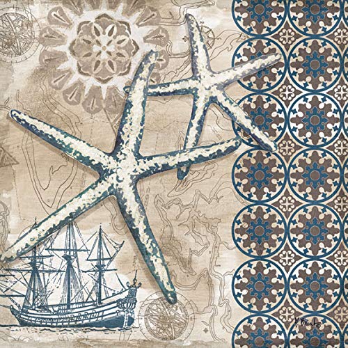 4 Blue & Brown Ocean Seashell Sand Dollar Starfish Collage Poster Prints - Nautical Wall Decor - Set of Four 12x12 Inch Framed Art Prints Ready to Hang - Perfect for Beach House, Coastal Living Room & Bathroom Decor