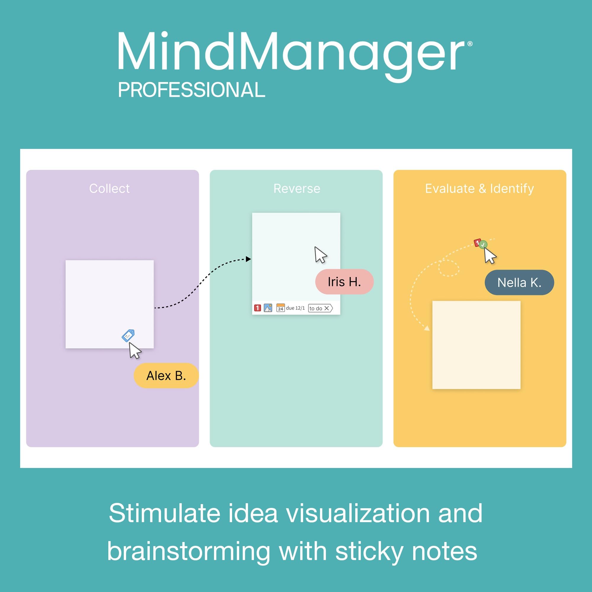 MindManager Professional 1 Year Subscription - Powerful Mind Mapping & Visualization Software for PC & Mac | Boost Productivity, Brainstorming & Project Planning