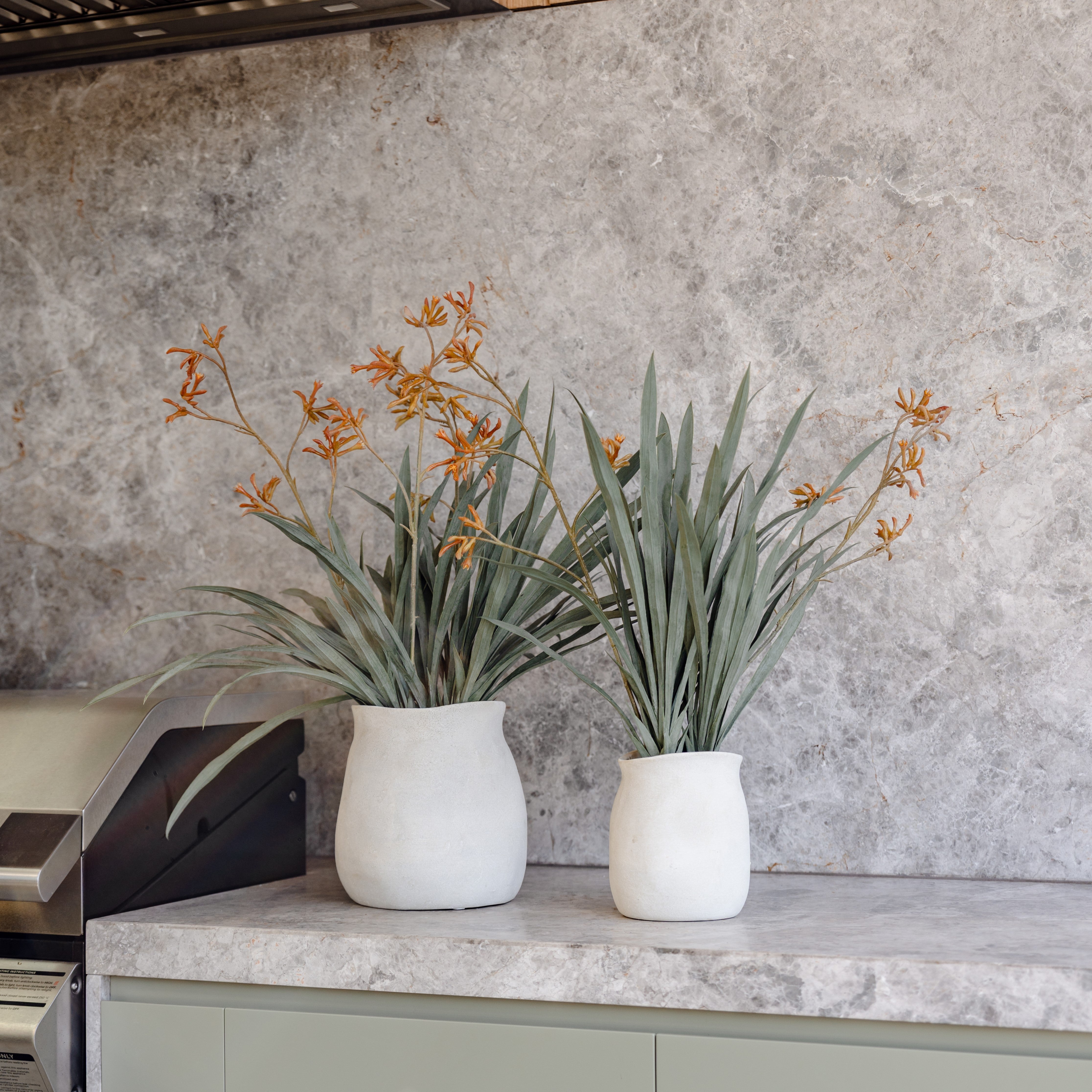Artificial Kangaroo Paw Plant in Maliah Pot - Cream - 78cm Tall - Perfect for Home Decor, Office Spaces & Indoor Greenery