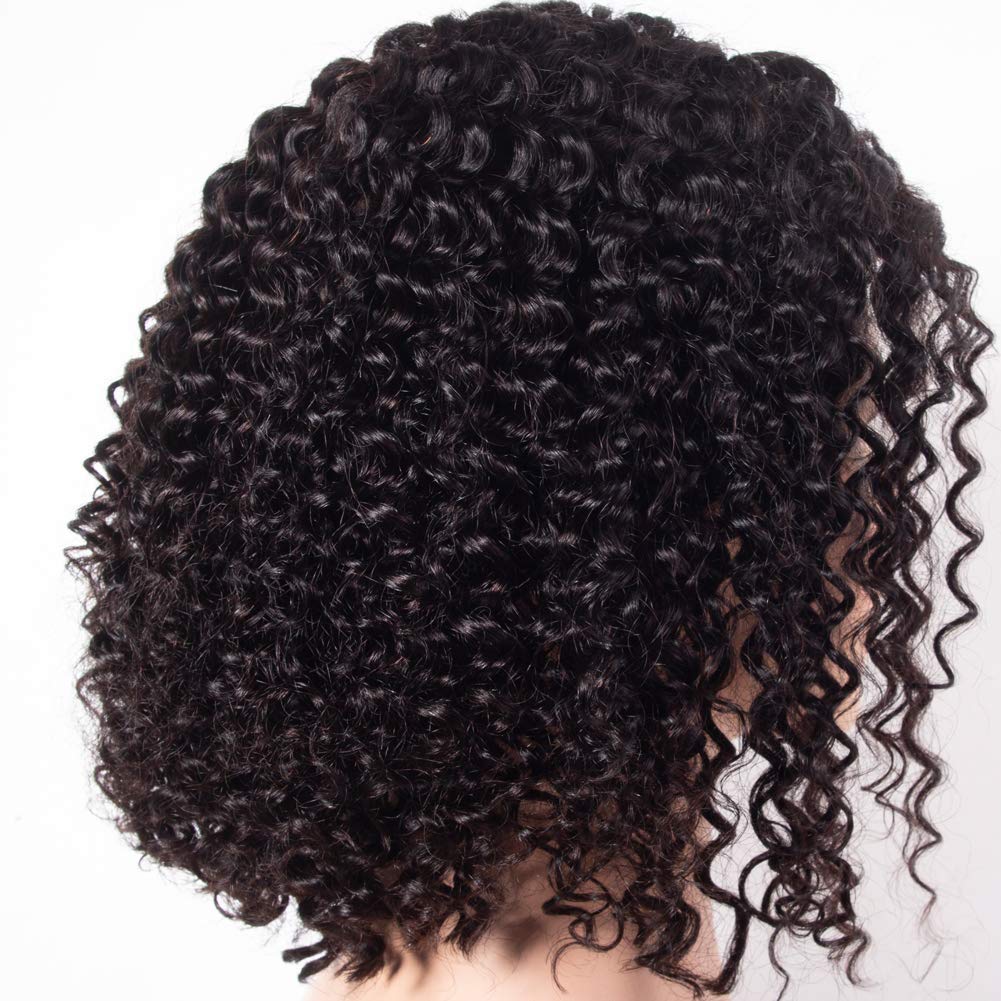 Brazilian Virgin Human Hair Wigs 150% Density - Glueless Lace Front 4x4 Closure Wig for Women - 16 Inch Natural Black Curly Hair - Perfect for Daily Wear, Parties & Special Occasions