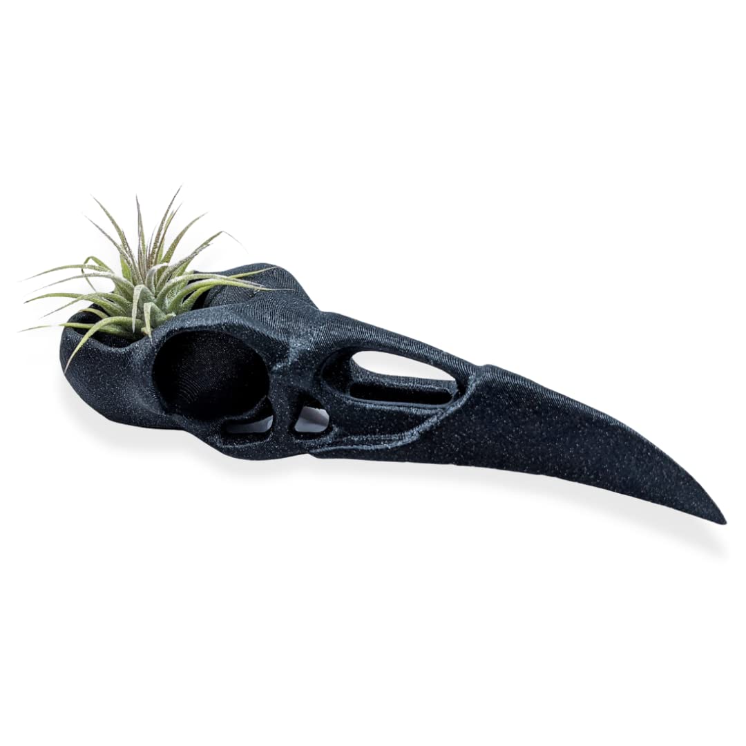 Gothic Raven Skull Air Plant Holder - Handmade Bird Skull Planter for Home Decor - Unique Crow Art Sculpture & Halloween Spooky Plant Pot - Perfect for Gothic Decor, Witchy Aesthetics & Indoor Succulent Displays