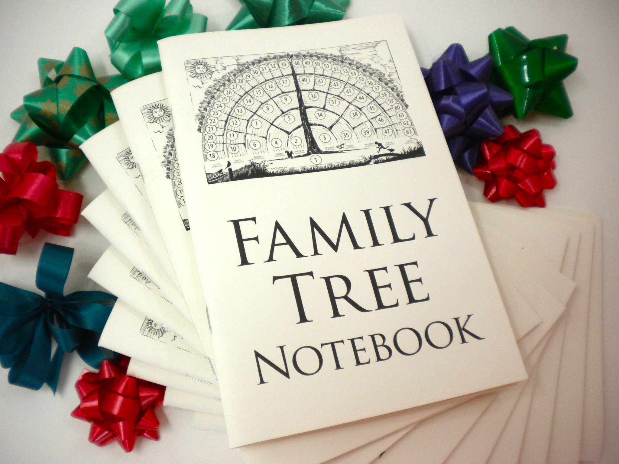 Family Tree Notebook - 2-Pack Genealogy Journal for Baby, Men, Women, Grandparents & In-Laws | Ancestor Stories & Family History Keepsake | Perfect for Family Reunions, Baby Showers & Holiday Gifts